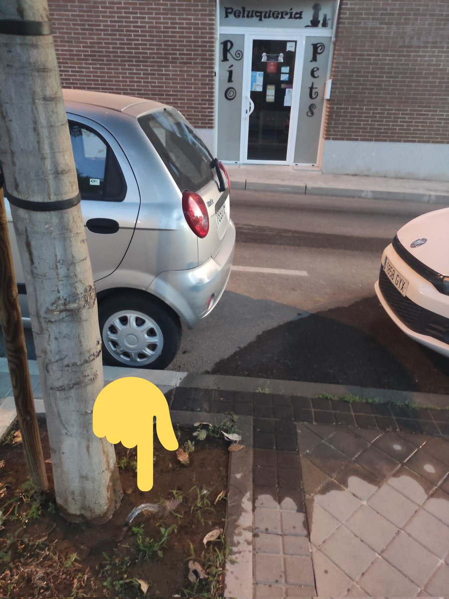 Hola <a href="/Lineamadrid/">Línea Madrid</a> , a la altura de calle Añafil 3 hay una fuga de agua del riego por goteo