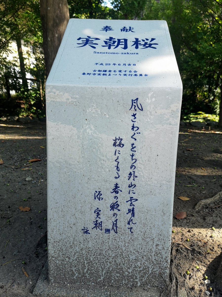 昨夜の大河ドラマで源実朝公が和歌に目覚めるシーンがありました。歌人として名高い実朝公の歌碑が鶴岡八幡宮には二つあります。一つは鎌倉国宝館前にある関東大震災で倒壊した二ノ鳥居の柱が使用されている歌碑と、もう一つは流鏑馬馬場に植樹された「実朝桜」の横にある歌碑です。9月5日撮影。