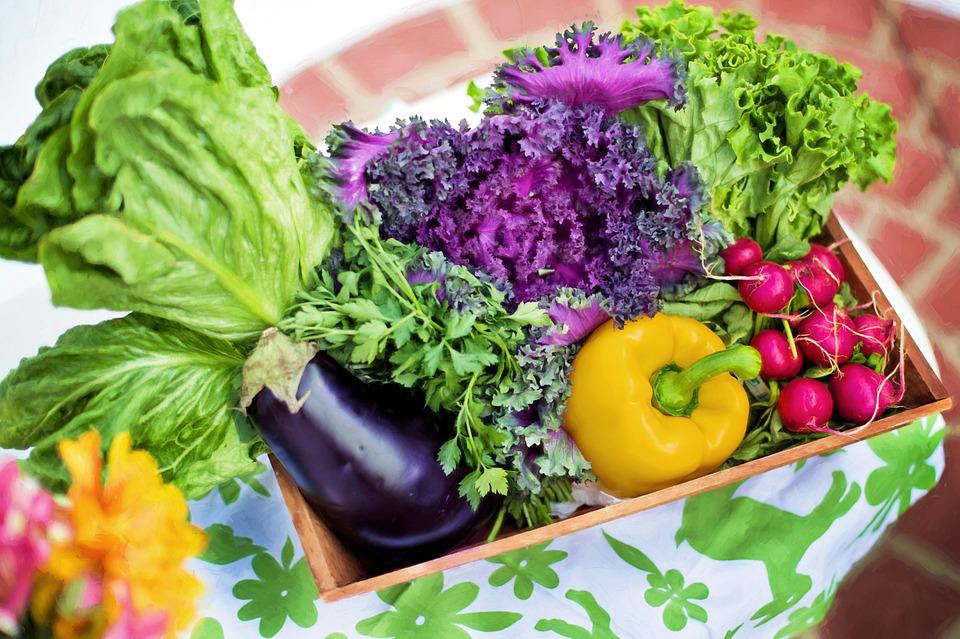 Our team at the University of Sydney want your help to design, develop and evaluate an online nutrition education resource for older adults. Have your say on what you want and need from an online nutrition education program! Click the link to find out more bit.ly/3RdwyVE