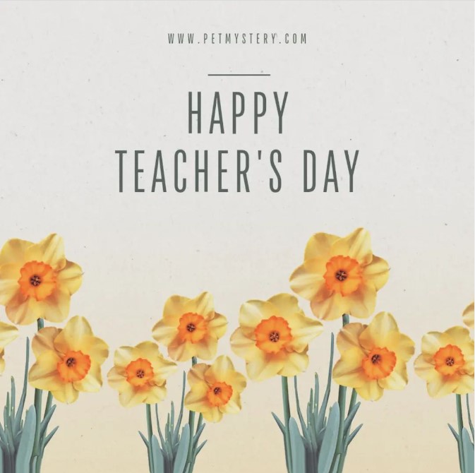 DeepaIyer18's tweet photo. Happy Teacher's Day #TeacherDay #canva #teacher #TeachersDay https://t.co/APdxk03UWx