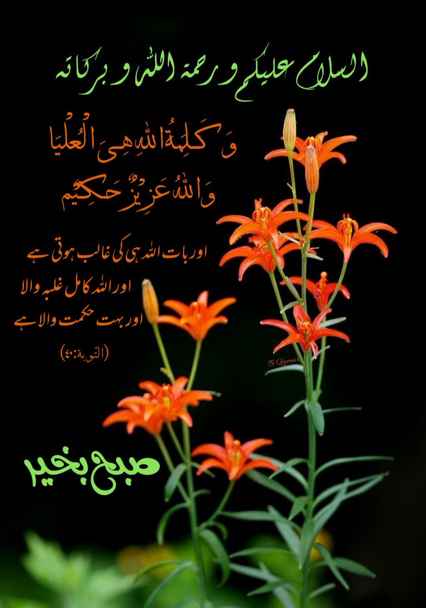 Gain Followers
نوٹیفیکیشن🛎️آن کریں
🐎ٹویٹ کو ریٹویٹ کیجئیے
🐎ریٹویٹ کرنے والوں کو فالو کیجئیے
فالو بیک تو مسٹ ہے
🐎اوپر ہدایت پرعمل کیجئیے
🐎صبح کی سپشل پرموشن ٹویٹ اسی ٹویٹ کے ریٹویٹرز سے بنے گی۔ انشاءاللہ💯
<a href="/sarfrazhabib/">محمّد سرفراز حبیب</a> 
<a href="/AliWehbePAK1/">Ali Wehbe</a> 
@_80AB 
<a href="/Firdos01/">Janoo</a> 
#ٹیم_البدر