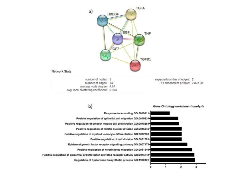 Diana Epstein tweet media