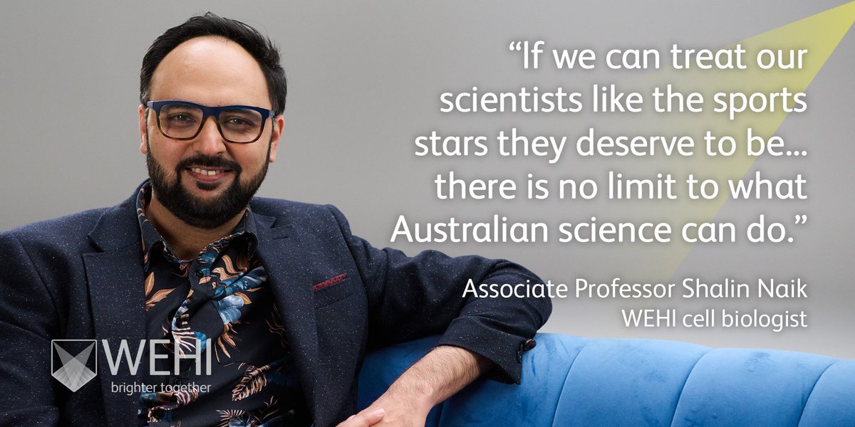 Say Hi to WEHI and meet cell biologist Associate Professor <a href="/shalinhnaik/">Shalin Naik</a>

Find out how WEHI’s collaborative spirit enables life-changing medical research discoveries.

See the conversation at brightertogether.wehi.edu.au 

#SayHiToWEHI #BrighterTogether #WEHIResearch