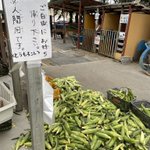 帯広競馬場で大量のトウモロコシのプレゼント。北海道、太っ腹すぎる!