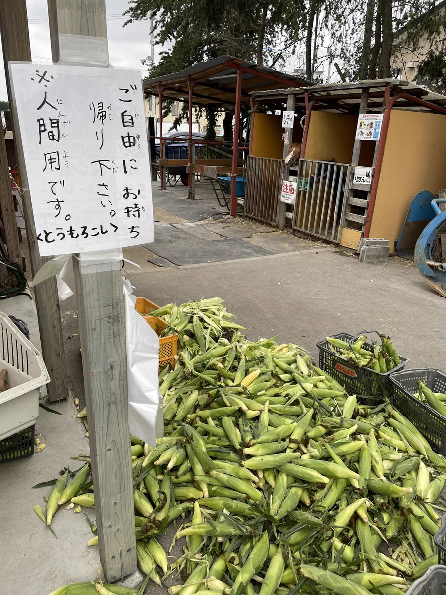 帯広競馬場で大量のトウモロコシのプレゼント。北海道、太っ腹すぎる！