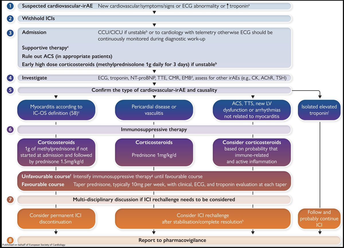 European Society of Cardiology Journals (@esc_journals) on Twitter photo Must read state-of-the-art review: Cardiovascular complications of immune checkpoint inhibitors for cancer academic.oup.com/eurheartj/adva…
#EHJ #ESCYoung #cardiotwitter <a href="/ehj_ed/">EHJ Editor-in-Chief</a> <a href="/rladeiraslopes/">R Ladeiras Lopes</a> Must read state-of-the-art review: Cardiovascular complications of immune checkpoint inhibitors for cancer academic.oup.com/eurheartj/adva…
#EHJ #ESCYoung #cardiotwitter <a href="/ehj_ed/">EHJ Editor-in-Chief</a> <a href="/rladeiraslopes/">R Ladeiras Lopes</a>