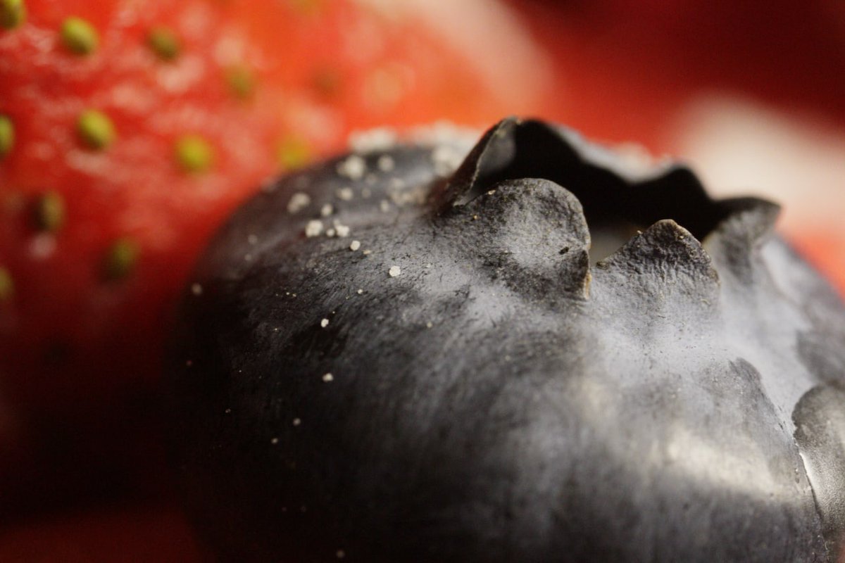 Danilenko_Macro's tweet photo. #macrophotography #macrophoto #foodphotography #productphotography #advertising #advertisingphotography #advertdesign #printdesign #brandpromotion #zoomedberries #blueberry #bakeryinteriordesign https://t.co/OHL7WaWozQ