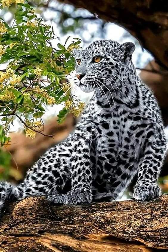 Good morning 🌎 Sun Heart Love ☕💫