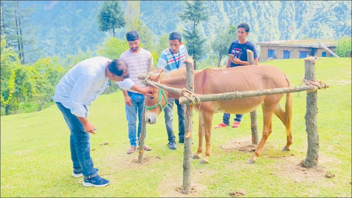ShimonaSharma3's tweet photo. Indian #ARMY organizes #Medical and #veterinary #Camp at Gundoh, #Doda .....
#IndianArmyPeoplesArmy #AmritMahotsav
#Badaltakashmir #YouthEnagement #ArmyForAwam #arshdeepsingh #AsiaCup2022 #BORNPINK #headiesaward2022 #INDvsPAK #RickandMorty https://t.co/BVaUjf10SH