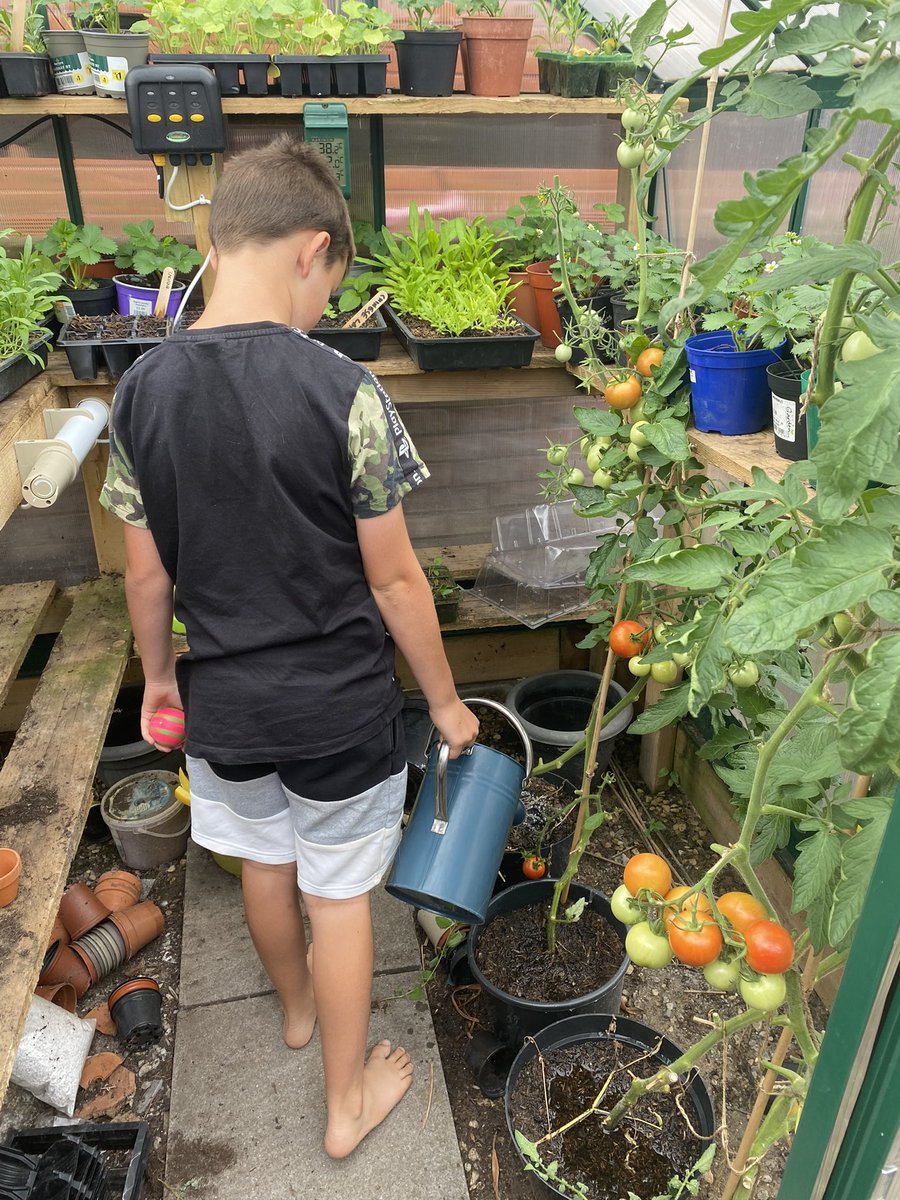 Seeder Wood tweet media