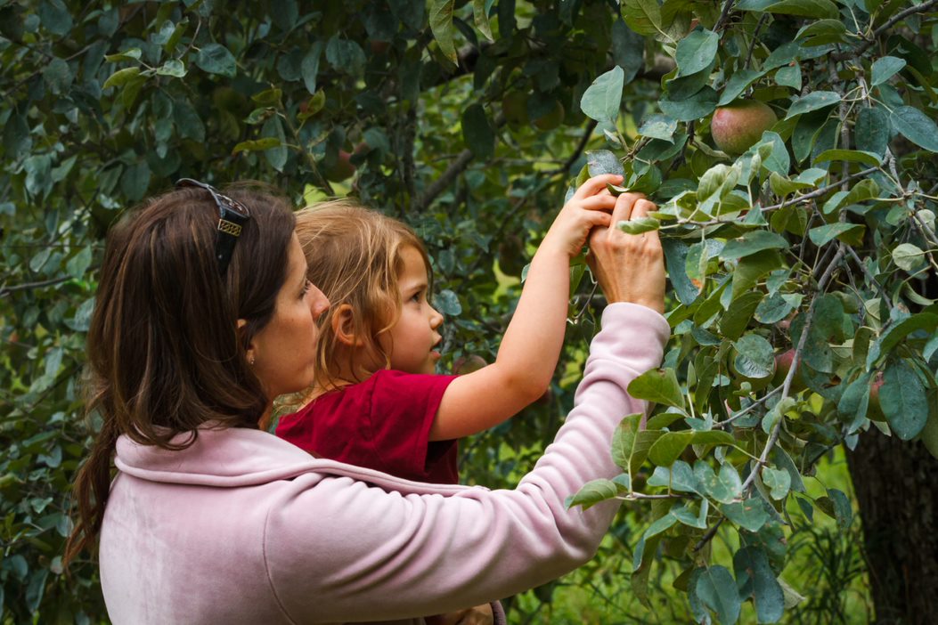 VisitKingstonCA's tweet photo. Tickets are now on sale for Open Farms 2022 this September 10th and 11th. Learn more about local food, sustainable agriculture, and the farming community with unique experiences from each farm. The last day to get tickets is tomorrow! https://t.co/1qjQLcZWrz @FrontenacCounty https://t.co/1JQ56156h9