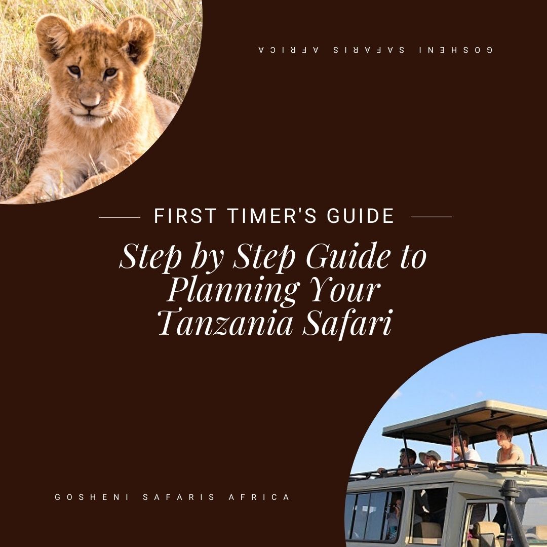 gosheni_safaris's tweet photo. We've prepared a step by step guide for First Timers in planning their Tanzania Safari.
Read the article to learn more: https://t.co/yWxTeotUIs
#discovertheunexpected
#tanzaniaroyaltour
#tanzanialeadingtouroperator
#kenyaleadingtouroperator
#localtouroperator https://t.co/18bc4tAVW5