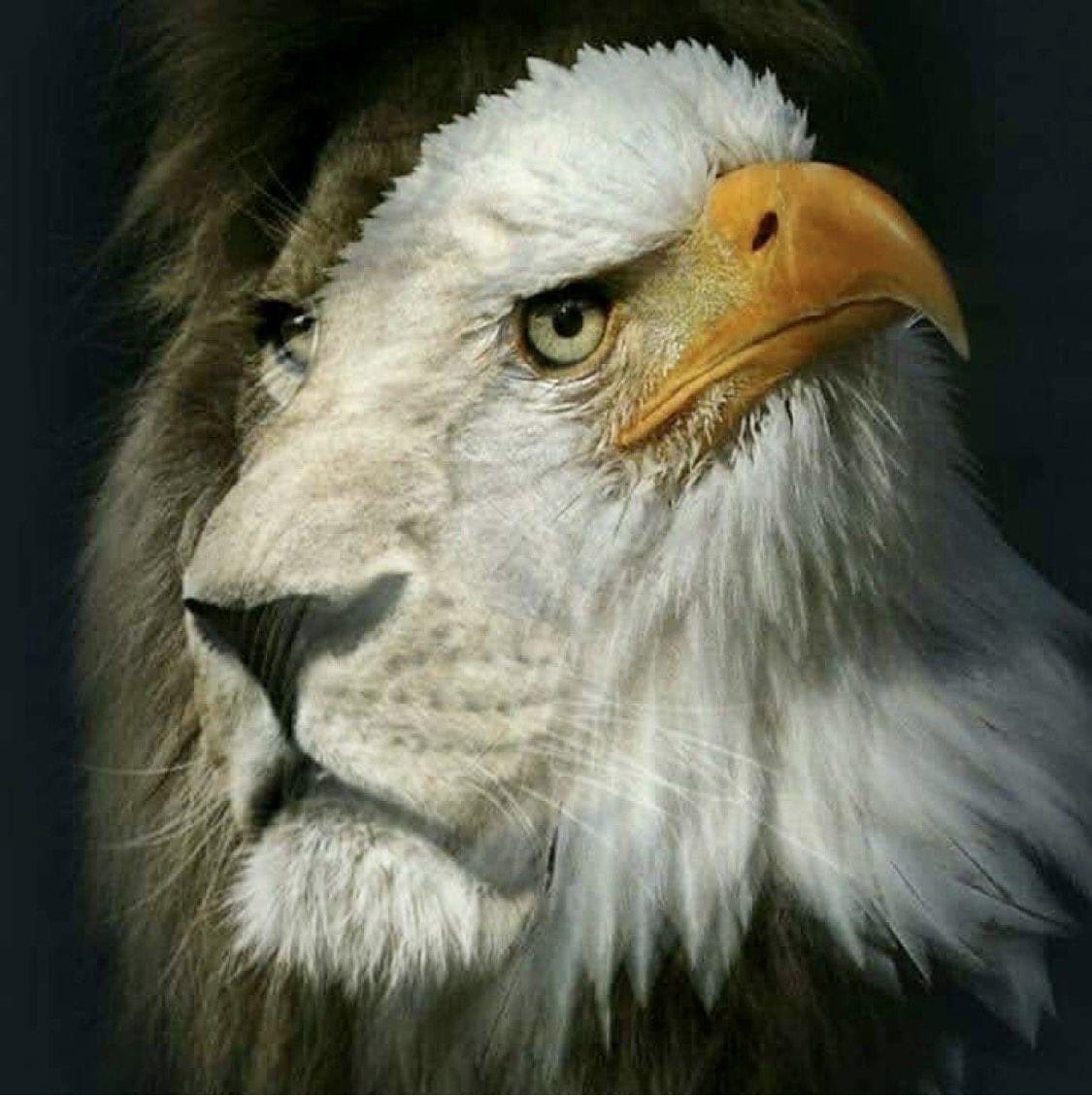 JUBILEE_7DOUBLE's tweet photo. @JoyPrinceton @MimiLovesJesus5 @SUGAR_HIGH11 @91Psalms123 Amein v Amein ππ I Heard the Lord saying....LIVE https://t.co/Ue0HUrVf1i