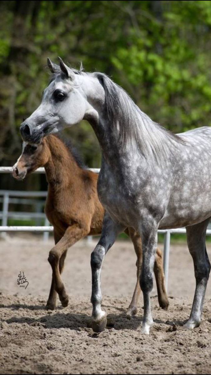 #صباح_الخيرᅠ 
سُبْحَانَ اللهِ وَبِحَمْدِه
September 05, 2022