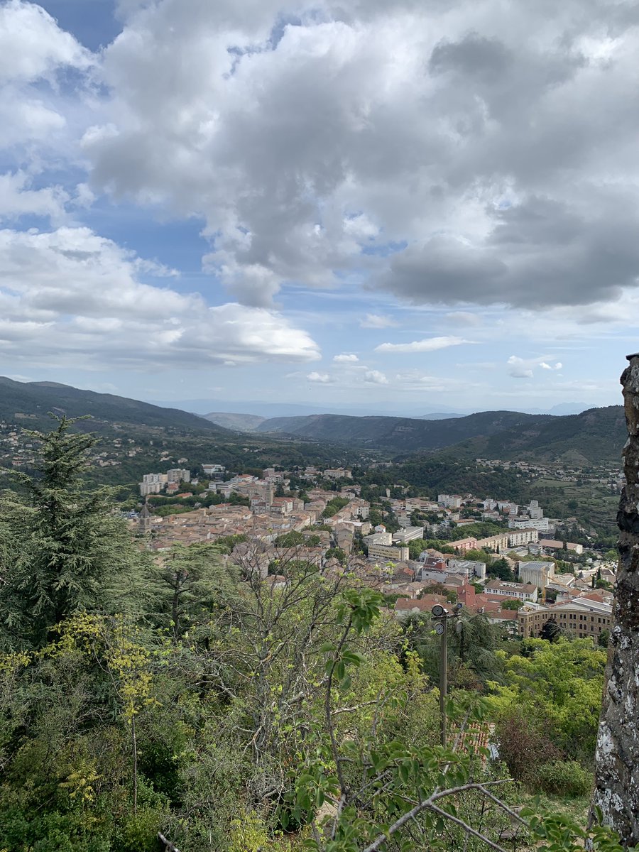 michaela tweet media