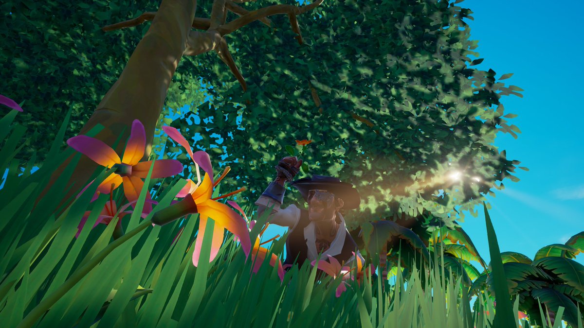 LoenOVO's tweet photo. Flowers blooming in the sun.
#SoTShot @SeaOfThieves 
#SeaOfThieves https://t.co/NE9m9VGaKH