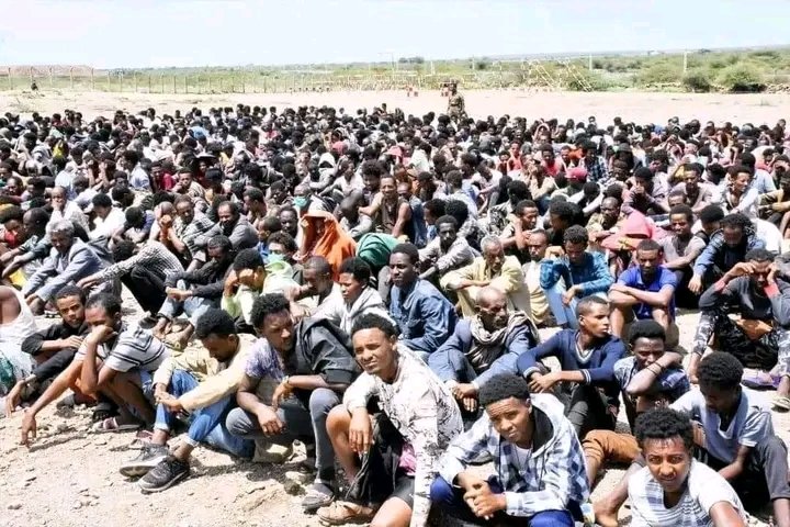 maku_sabawi's tweet photo. When those #IDPs from #Hayik were taken to unknown location a week ago, we were sure that the #Genociding gov was preparing them for such cheap propaganda. Today, those innocent #Tigrayans from #IDP centres and from different walks of life in #Addis are being harrarased and 1/3 https://t.co/4fLZtetj5o