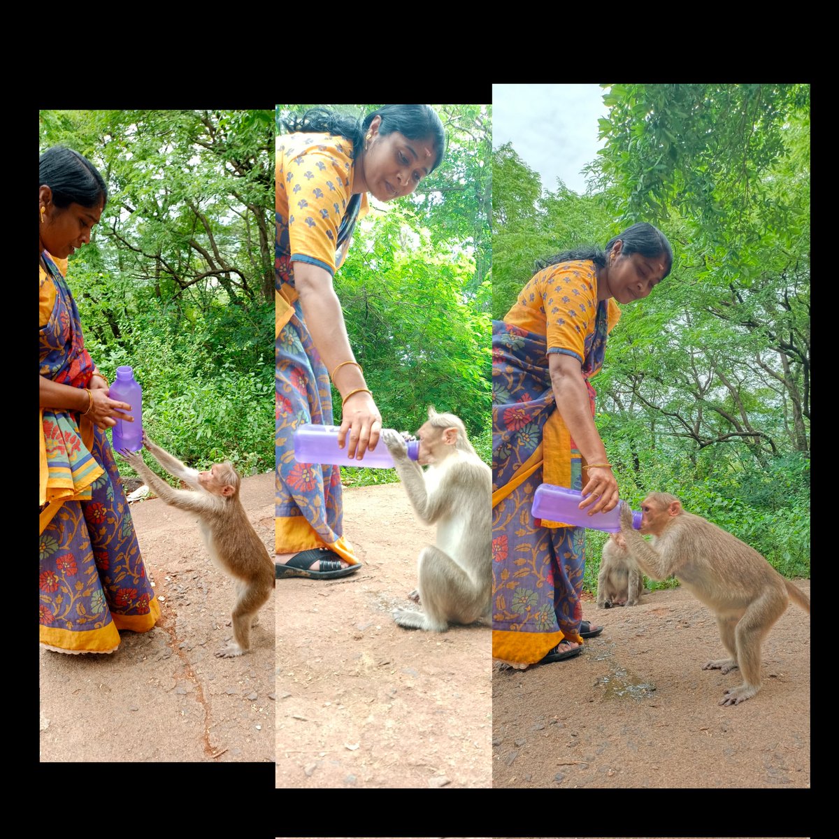 Kavitha Suresh tweet media