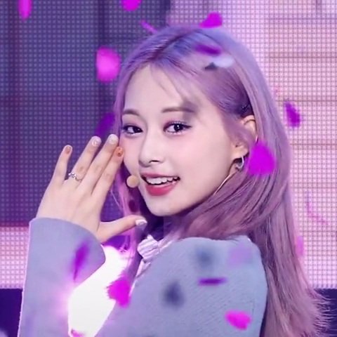 CHOUTZUYU24's tweet photo. so pretty 💜 https://t.co/aisLokUMaH