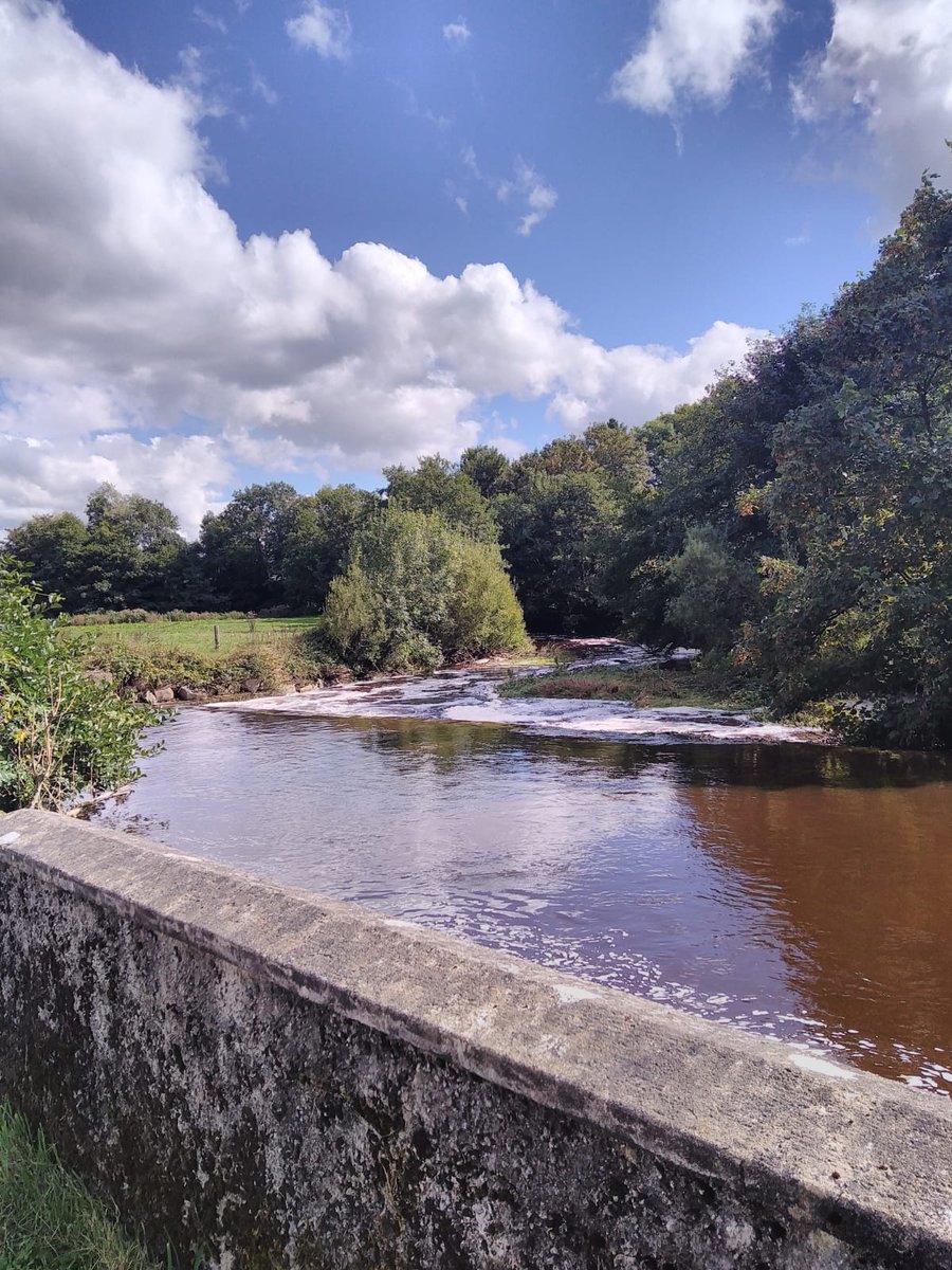 MonIntDev's tweet photo. See photos from the first weekend of our Understanding &amp; Caring for our Waterways course in #Emyvale! They learned about rivers, their physical structure and function, invertebrate and plant life, and how to use animals and plants to assess water quality https://t.co/8eG3NfQ5u6