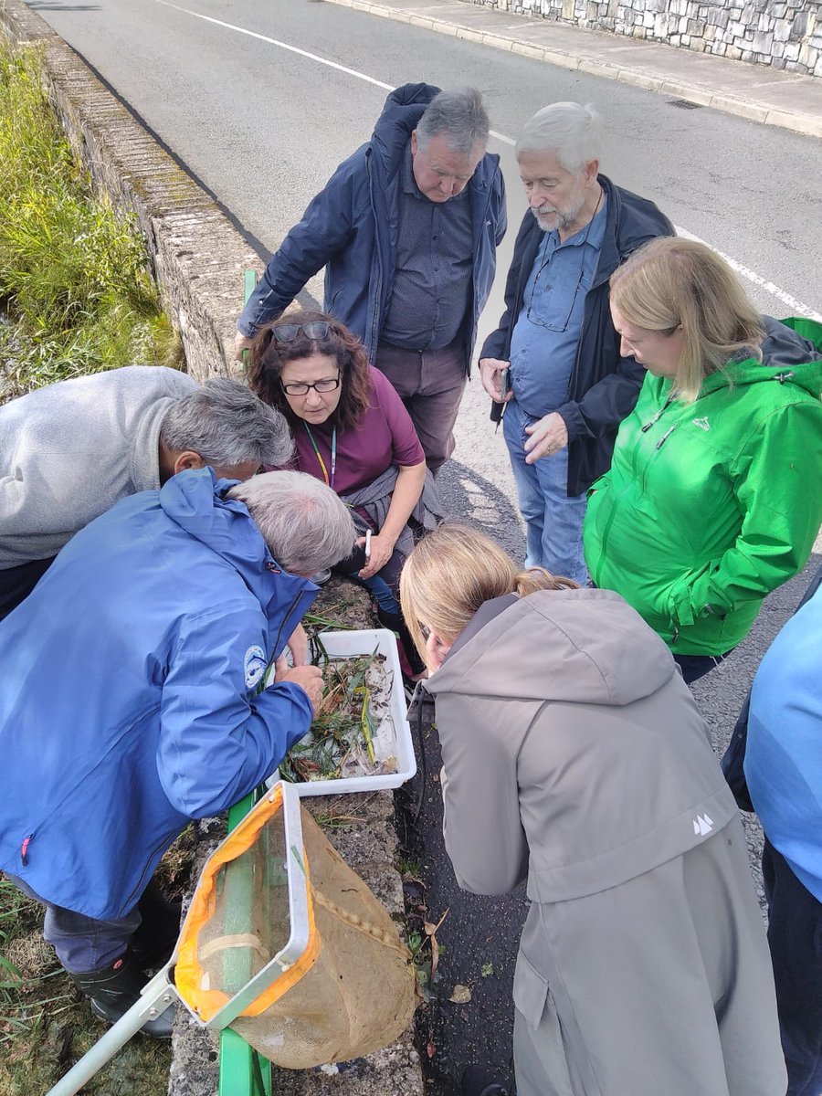 MonIntDev's tweet photo. See photos from the first weekend of our Understanding &amp; Caring for our Waterways course in #Emyvale! They learned about rivers, their physical structure and function, invertebrate and plant life, and how to use animals and plants to assess water quality https://t.co/8eG3NfQ5u6
