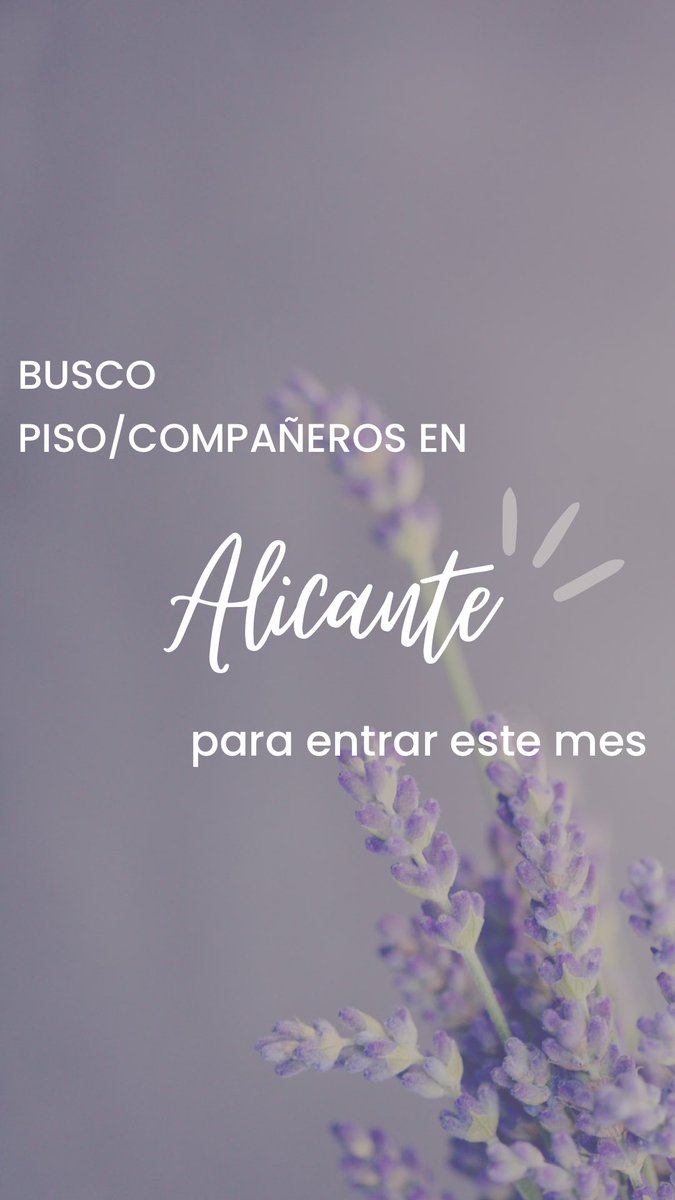 Soy una chica limpia y ordenada, además de muy maja 😇. Agradecería mucho que me acojáis en vuestros humildes pisos de estudiantes 🥹