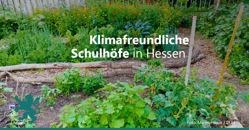 UmweltHessen's tweet photo. Gemeinsam mit der @Umwelthilfe wollen wir Schulhöfe in #Hessen in attraktive, #klimafreundliche &amp; #naturnahe Pausen- und Lernorte verwandeln. Deshalb startet jetzt die zweite Runde der „Klimafreundlichen Schulhöfe für Hessen“! Die Bewerbungsphase läuft noch bis zum 09. Oktober.