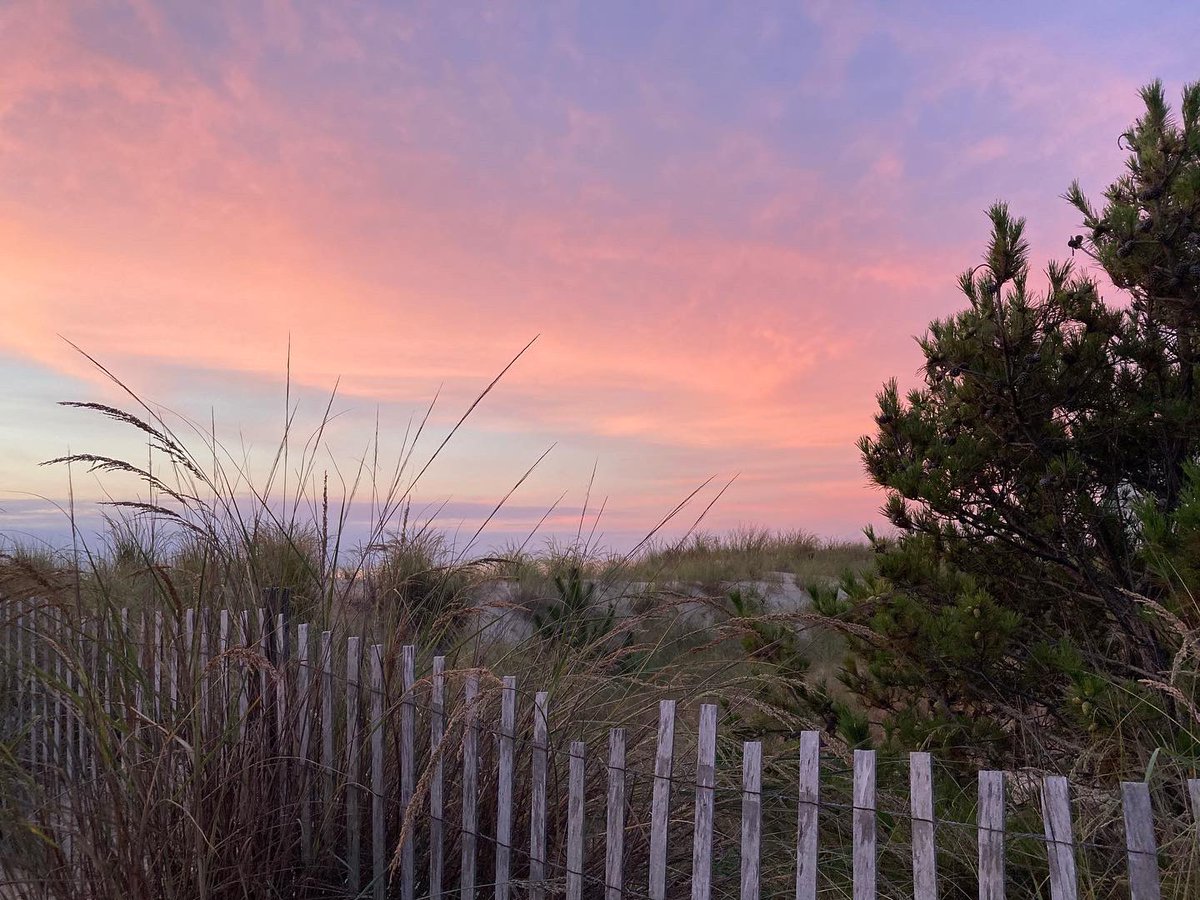 Good morning, Maryland beaches.  Tl;dr:  the same photo everyone in Maryland has taken this month, but still yay