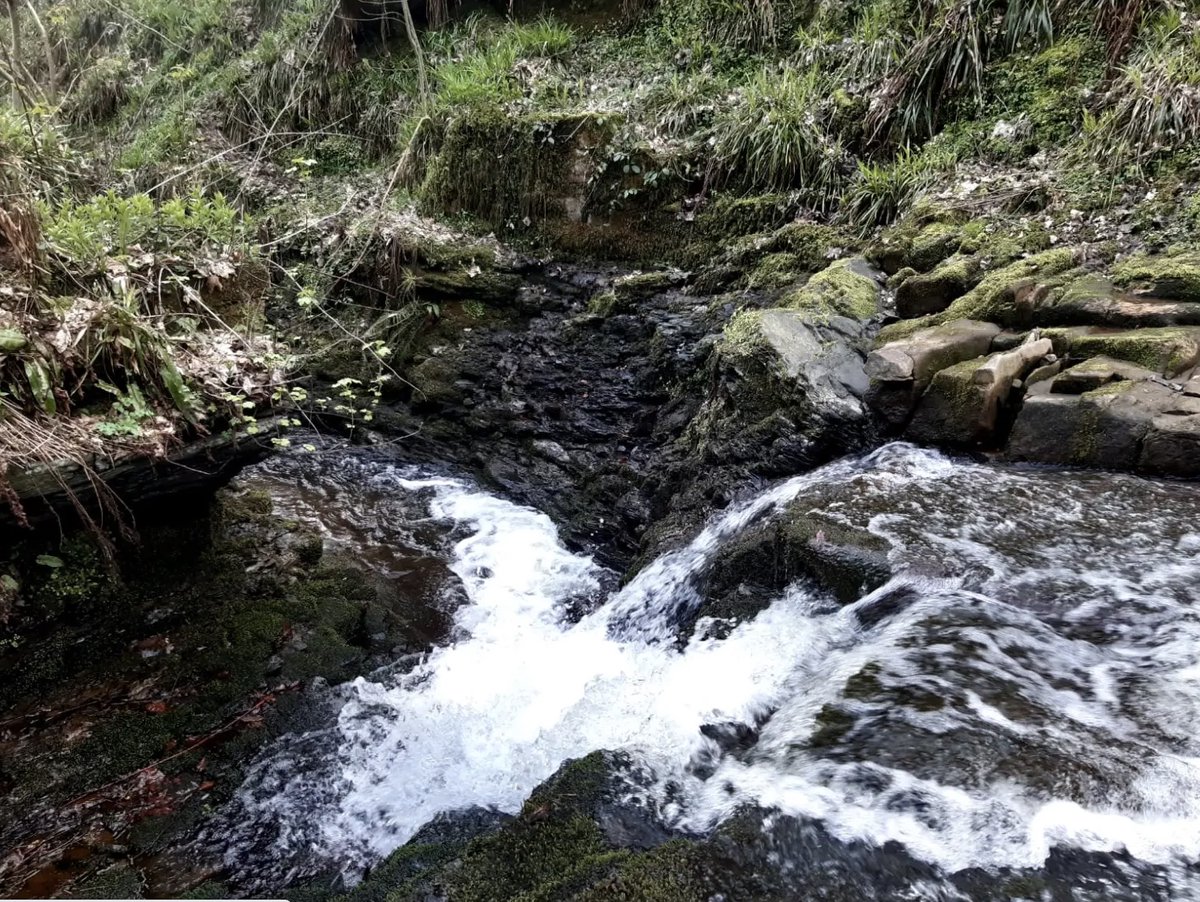 SHARE Science Humanities & Arts Research Exchange tweet media