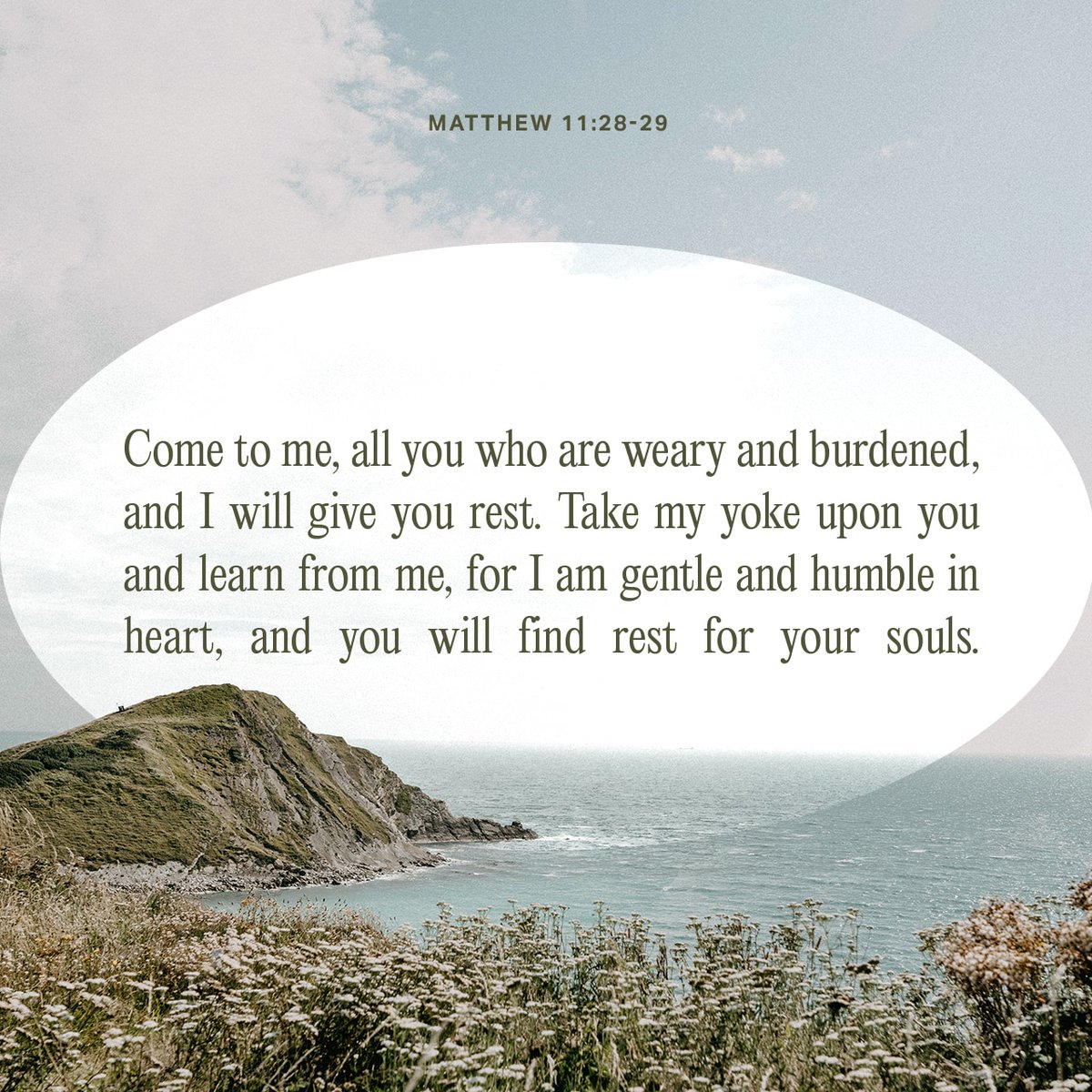 PrimalGuide's tweet image. Come to me, all who labor and are heavy laden, and I will give you rest. Take my yoke upon you, and learn from me, for I am gentle and lowly in heart, and you will find rest for your souls.
Matthew 11:28-29 ESV

bible.com/verse-of-the-d…