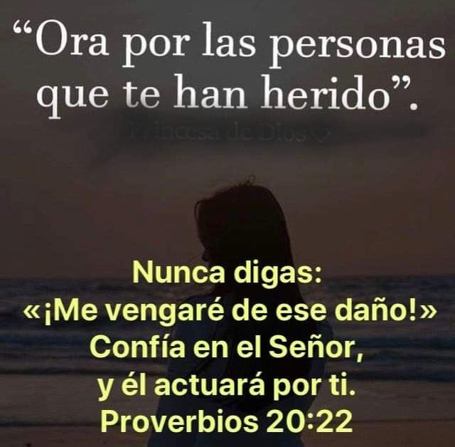 Maco_Rodas's tweet photo. Proverbios 20:22 https://t.co/8ogjaQKRas