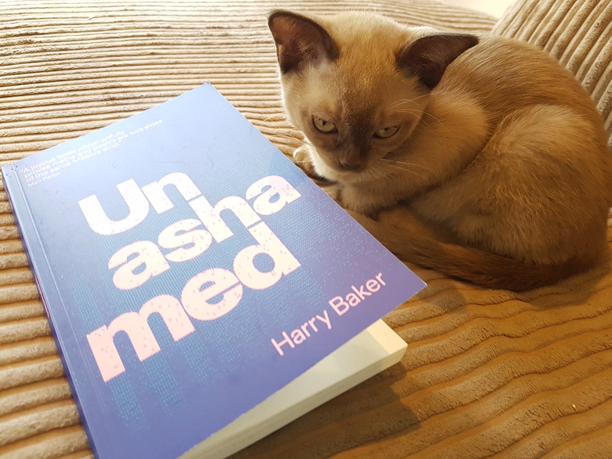 S_Wordsmith's tweet photo. At 14 weeks old, Minnie thinks @harrybakerpoet's new collection #Unashamed is the best book she's ever seen. I needed tissues multiple times. Minnie coped fine. Probably because she hasn't experienced a pandemic. #readbeforeyouwrite #literatekitten #spokenpurred @BurningEyeBooks https://t.co/hkE99fqPu4