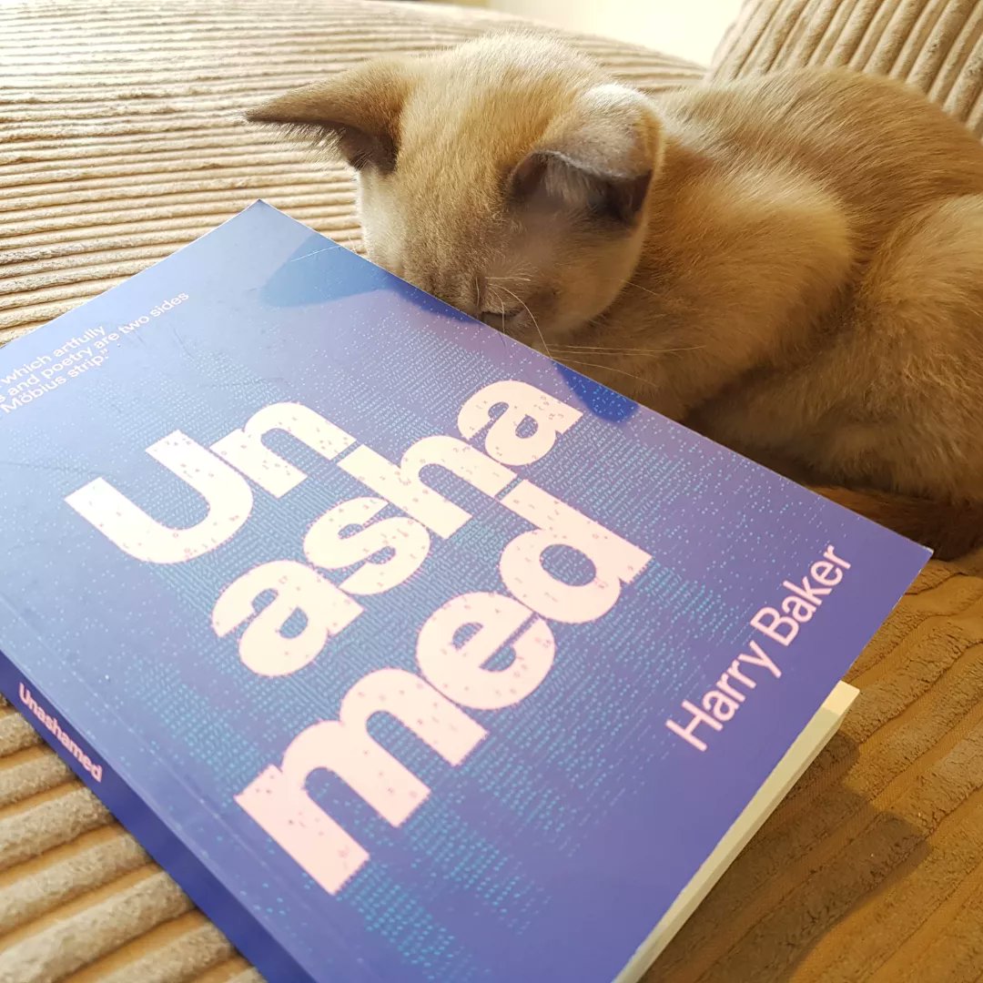 S_Wordsmith's tweet photo. At 14 weeks old, Minnie thinks @harrybakerpoet's new collection #Unashamed is the best book she's ever seen. I needed tissues multiple times. Minnie coped fine. Probably because she hasn't experienced a pandemic. #readbeforeyouwrite #literatekitten #spokenpurred @BurningEyeBooks https://t.co/hkE99fqPu4