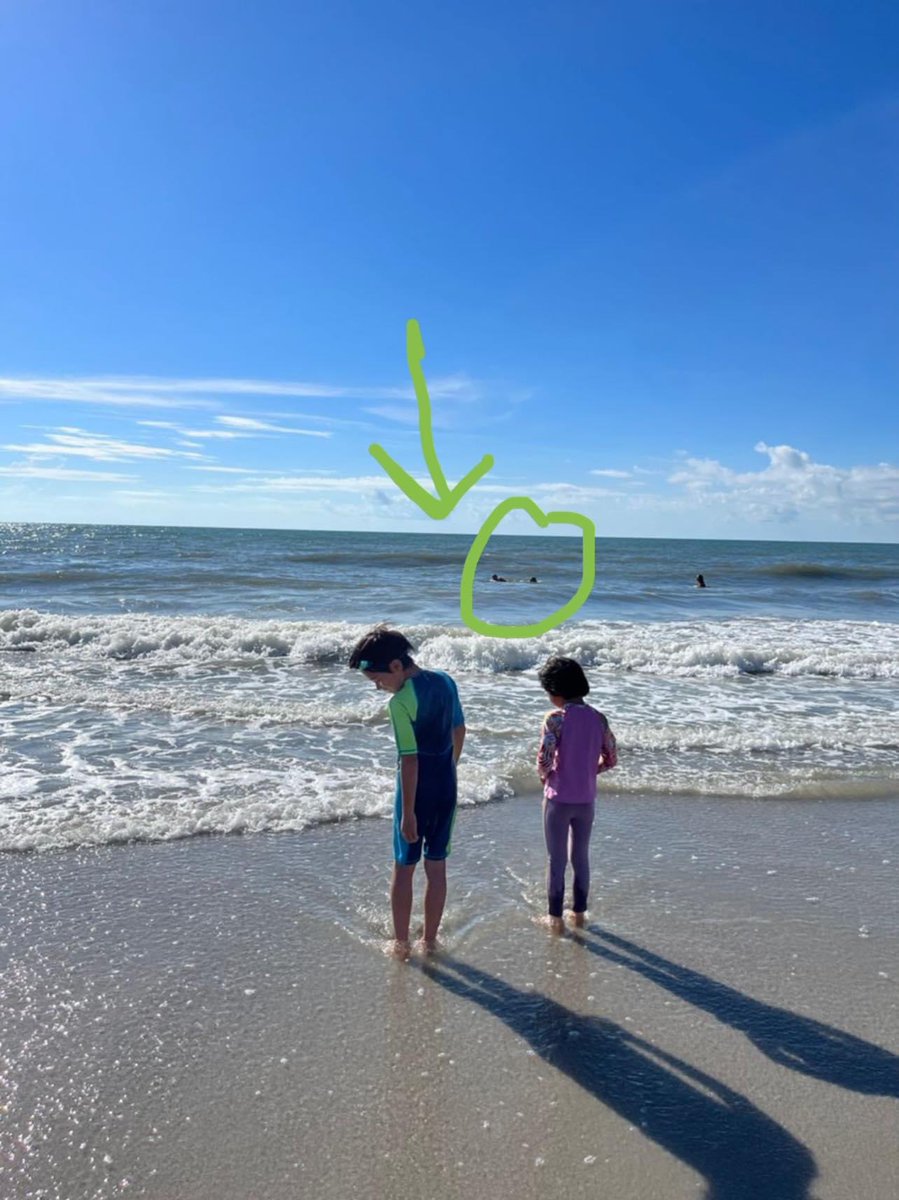 Hari ni paling real . Shark close encounter dengan aku dan anak aku 

Myrtle beach , South Carolina . Wow! I need to start do some research first before travelling

Tadi literally aku dengan anak aku diekori oleh shark 🦈 masa main ombak. Tengah enjoy enjoy ada mat Salleh jerit