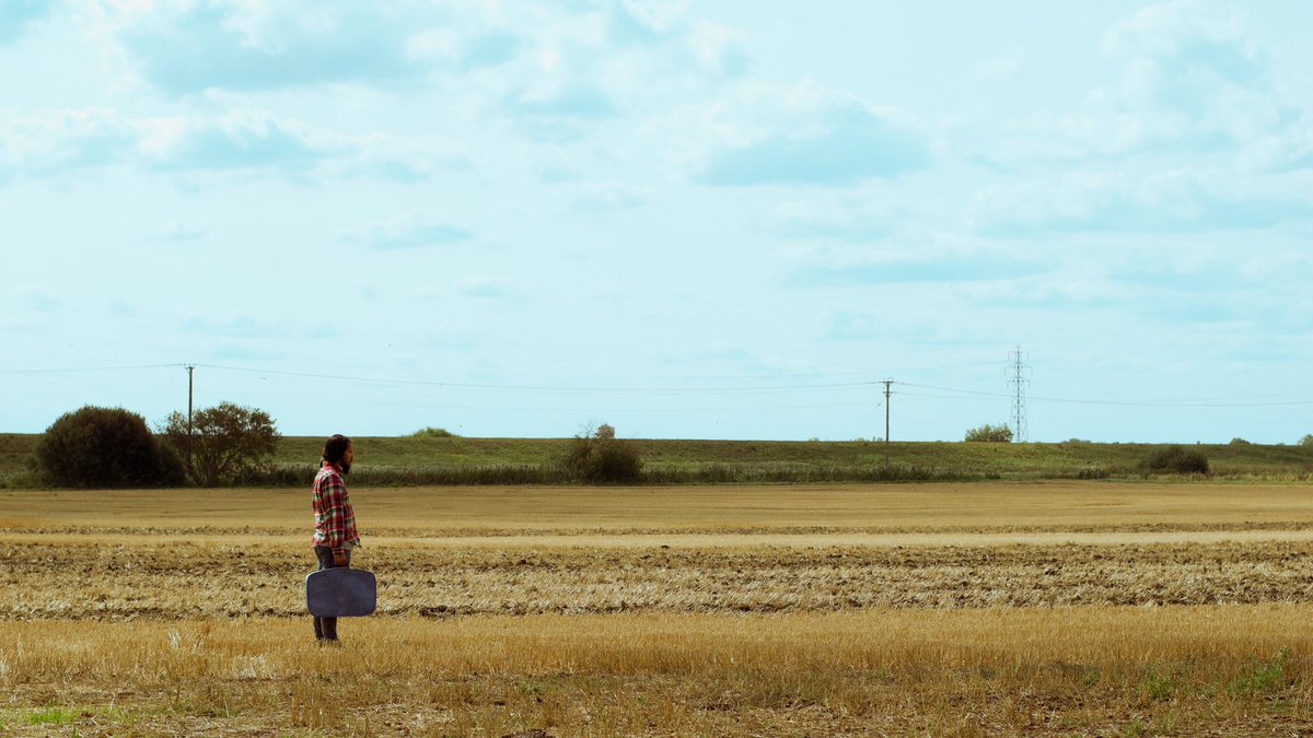 Bridge In The Sky tweet media