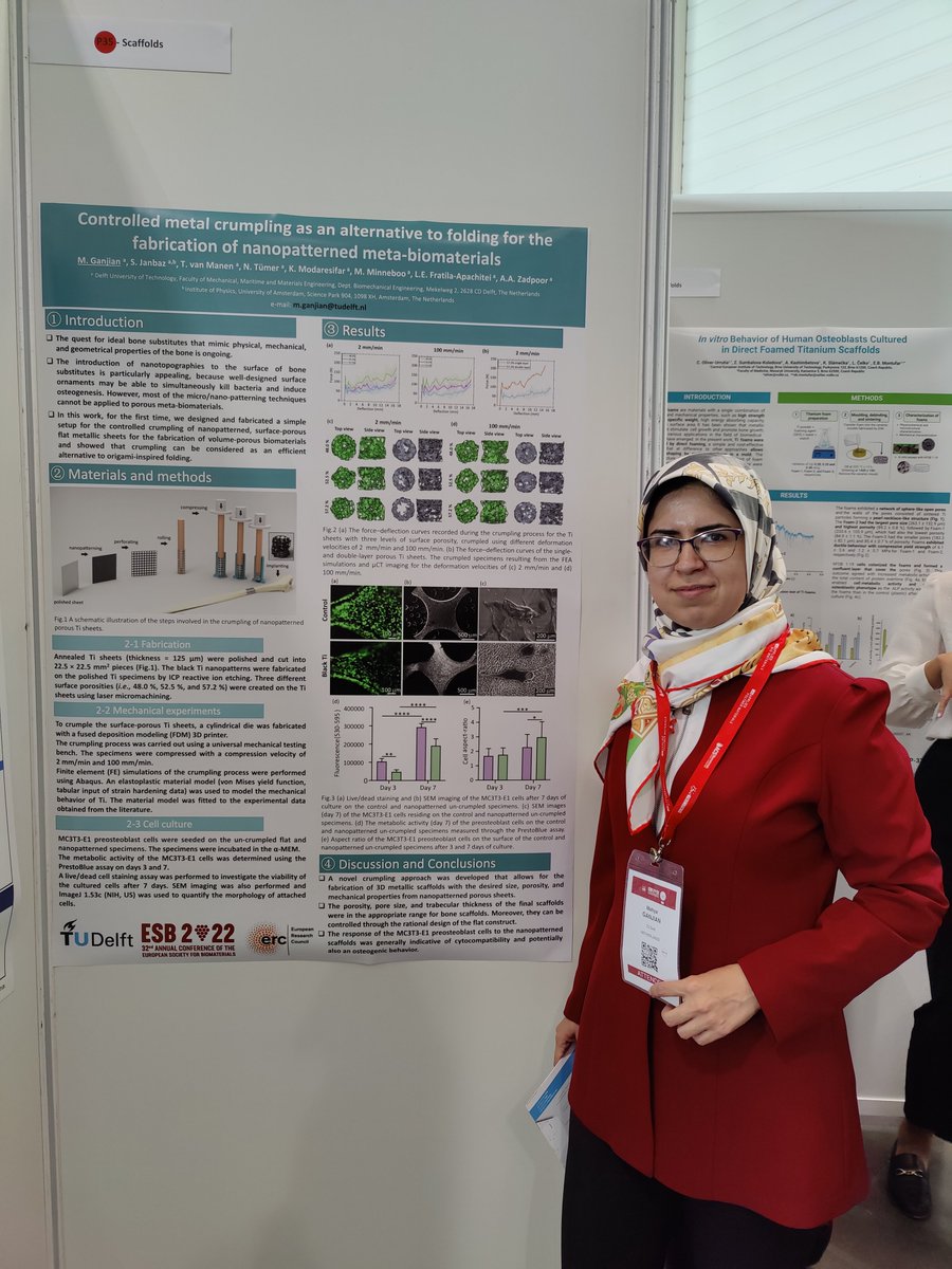 MahyaGanjian's tweet photo. Now at @ESB_2022 
Looking forward to share our recent work:"Controlled metal #crumpling as an alternative to folding for the fabrication of #nanopatterned #meta_biomaterials".
Section C: Scaffolds
Poster number: 35
@amir_zadpoor https://t.co/FujjzQ0HYM