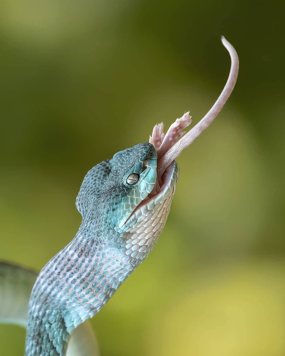 📸 Son yılların en popüler anı “Ölüm Öpücüğü”.