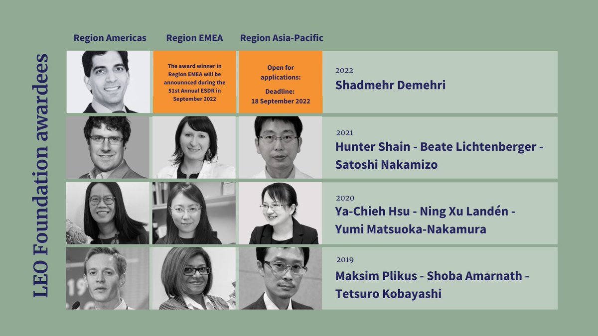 LEOFondet's tweet photo. ❗Attention young skin researchers in Region Asia-Pacific. The application deadline for the LEO Foundation Award in Region Asia-Pacific has been extended to the 18 September 2022. Don’t miss out on a chance to become a part of a global network of strong and talented researchers! https://t.co/QXxr8xCXpk