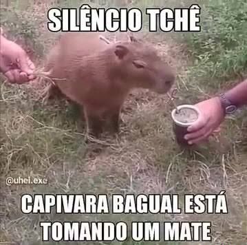 Shitpost só que de verdade (@shitpostverdade) on Twitter photo 