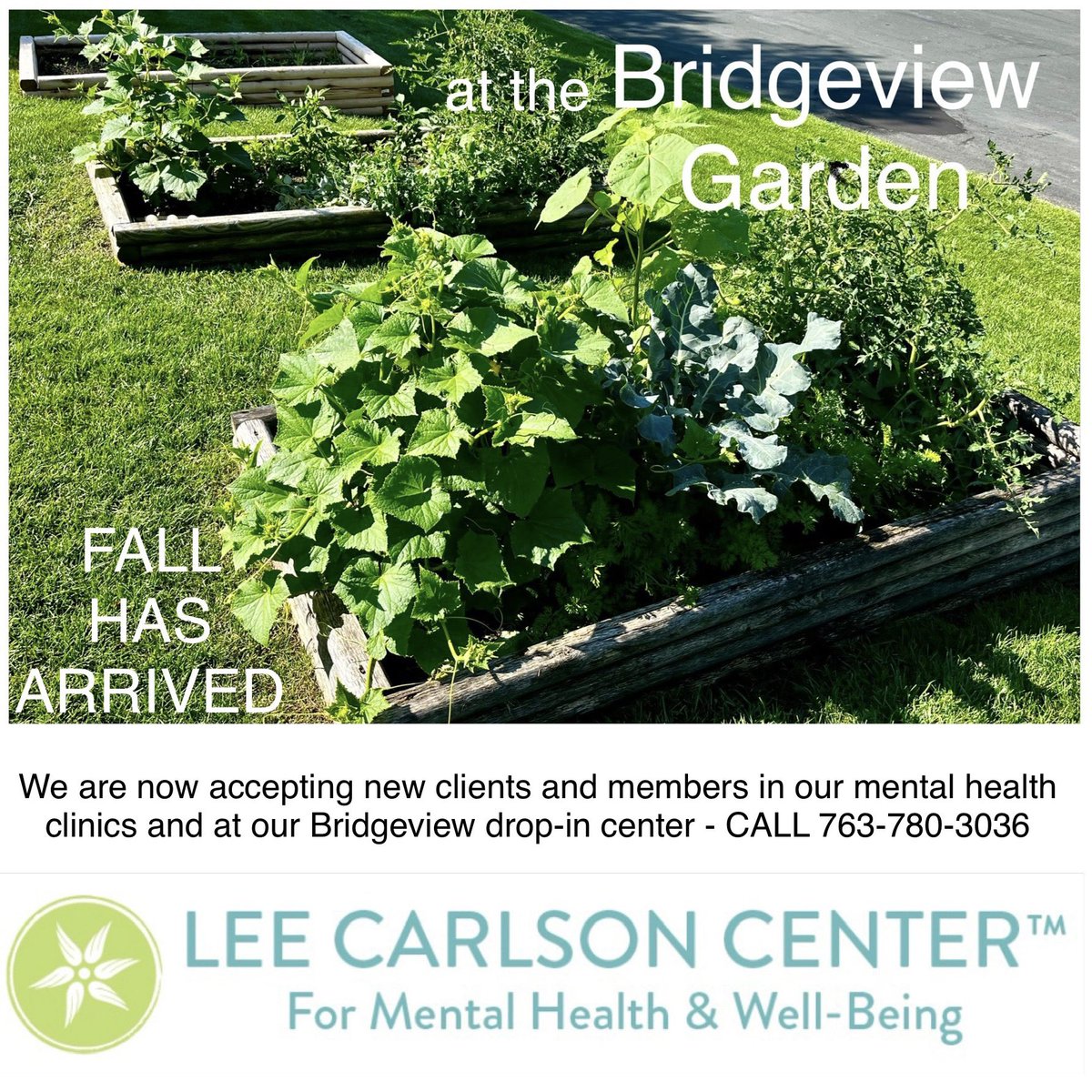 Fall has arrived at the Bridgeview Garden
We are now accepting new clients and members in our mental health clinics and at our Bridgeview drop-in center - CALL 763-780-3036