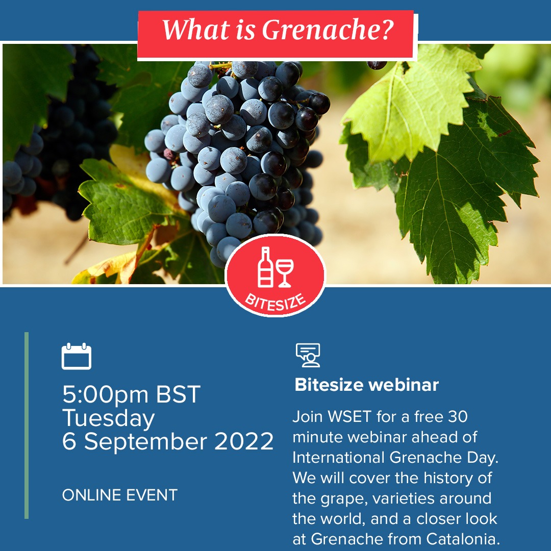 🍇La garnatxa és la varietat autòctona catalana més universal. 

🤝Demà encetem la col·laboració amb <a href="/WSETglobal/">WSETglobal</a> amb una sèrie d'abast mundial per donar a conèixer el nostre patrimoni vitivinícola més valuós. 

▶️us06web.zoom.us/webinar/regist…