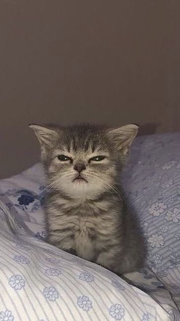 how are your experiments going?

me: