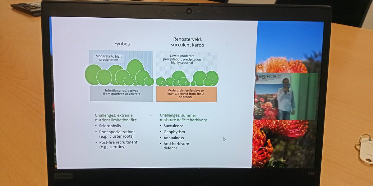 #FynbosMedecos2022 third Keynote address by the awesome Tony Verboom (who was one of my tutors back in the day!). 

<a href="/WCGovEADP/">WCGov Enviro Affairs</a> #fynbos #ecology #botany
