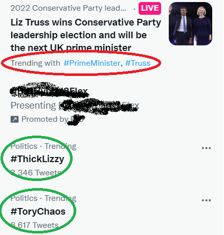 nikita_cumbria's tweet photo. I #DizTrusst @Twitter. No. Only in the alternate #Toryverse are those alleged trends trending. I get it that she's a 'young' bathroom pin-up for straight white retired male Tory member bigots though. #ThickLizzy #ToryChaos https://t.co/ghRxvOhiNM