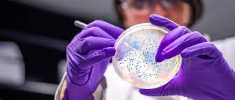 MDFinsights's tweet image. The global microbiology testing market is predicted to grow USD 8.48 billion by 2027, growing at a CAGR of 11.8% during the forecast period 2022 to 2027.
For more insights @ bit.ly/3Ry6SDz
#microbiologytesting #microbiologytestingmarket #marketdataforecast