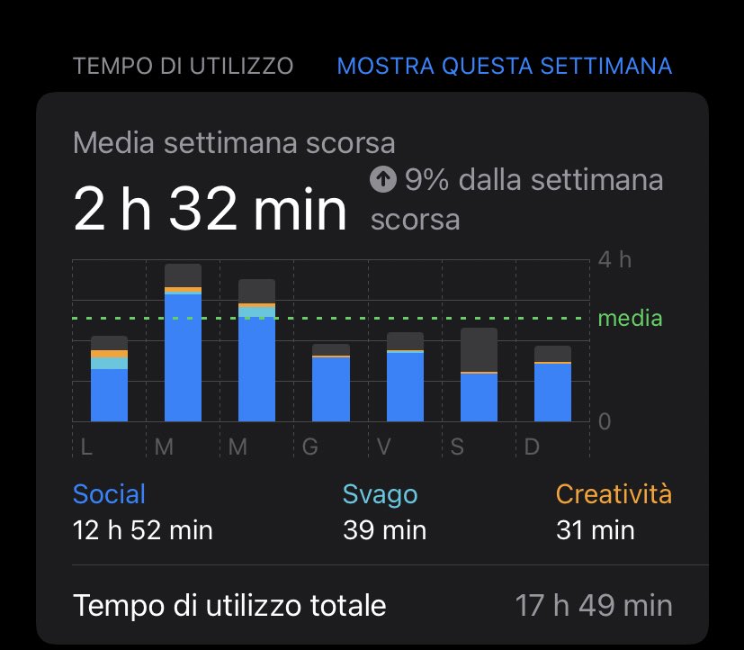 raga ma la parte grigia cosa indica? cioè c’è il blu e l’arancione e okay ma la parte dopo??