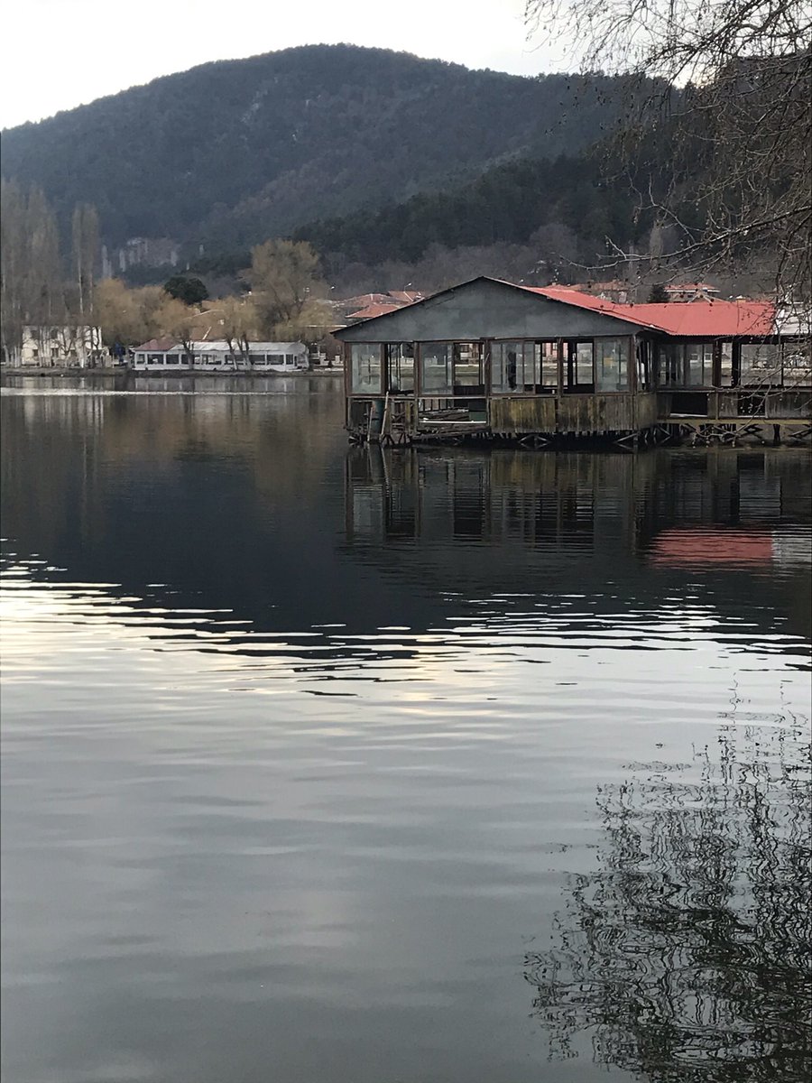 savaş bitince senin için taze incirler toplayacağım
seninle kalacağım
seninle okuyacağım
ve seni güneşli hayranlığında öpeceğim
Mohammad Ebrahim Jafari