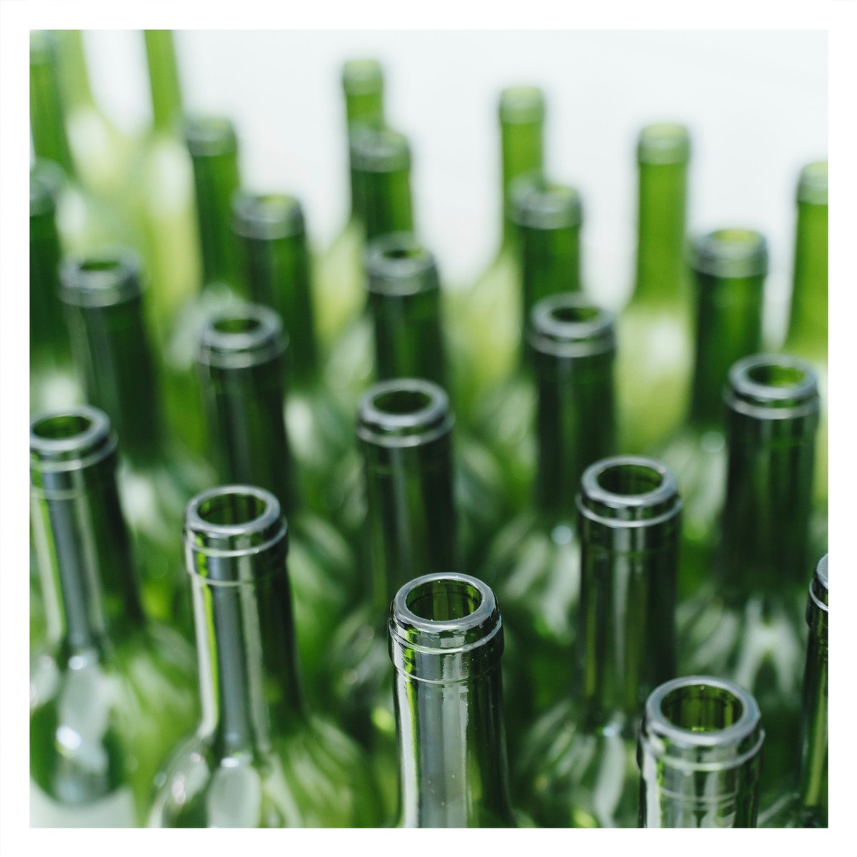 Ebrocork tweet media