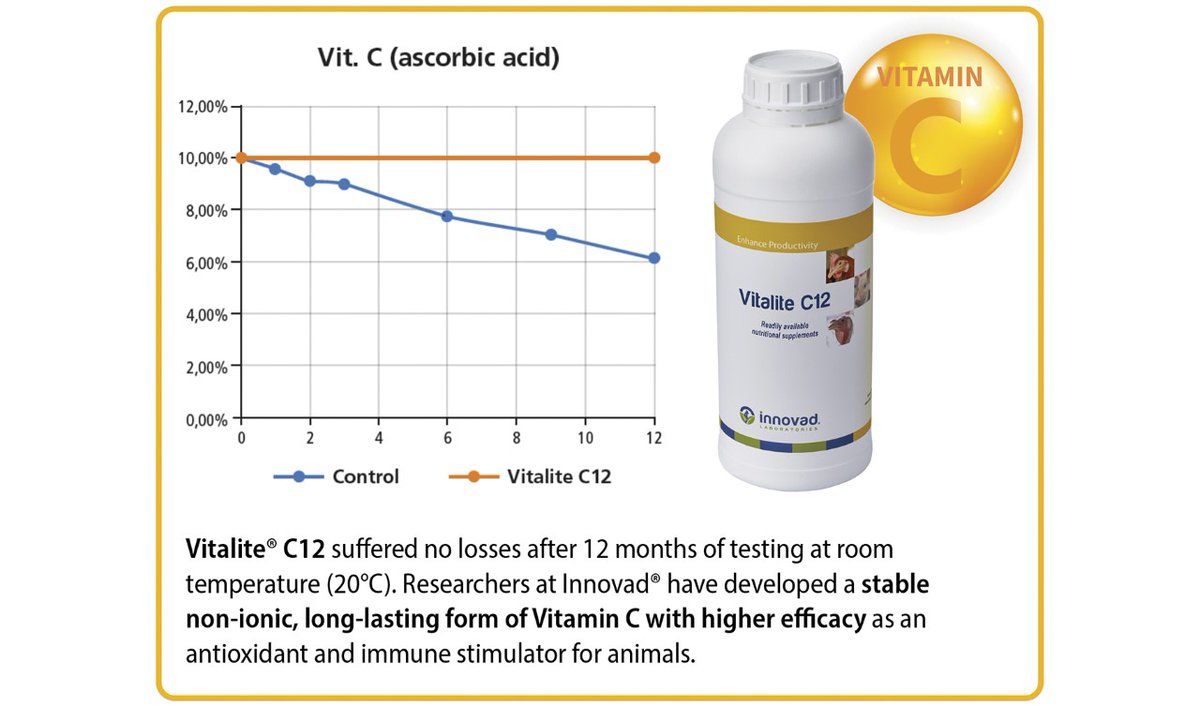 innovadgroup's tweet photo. 🌡☀️ One of the consequences of heat stress is #oxidativestress.

Read more about the importance of vitamins in alleviating oxidative stress and #heatstress 👉 https://t.co/UvA7Q8xJ5x

#InnovadGroup #CreateTrust #HeatStress #AnimalHealth #innovadheatstressguide #heatstressguide https://t.co/j3SrO2neUS