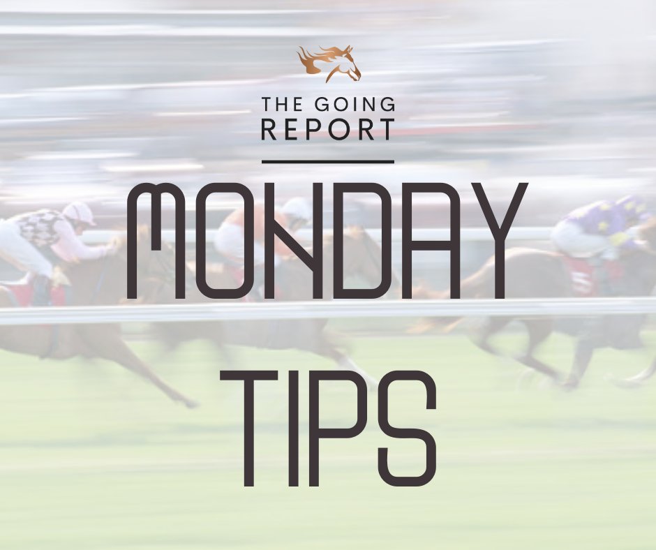 TheGoingReport's tweet photo. 🏇Monday Racing🏇

📍 Brighton, Newton Abbot, Perth &amp; Newcastle

⏰ First Race: 1.00

Today's horse racing tips 👉 https://t.co/LabYXpW414

Today's free bets 👉 https://t.co/XHyT2WAY7y

Ad | T&amp;C’s Apply | 🔞 | https://t.co/n4eXTUosfN https://t.co/y4vudnreuC